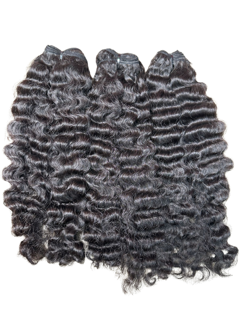 Burmese Curly